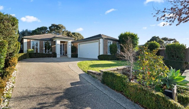 Spacious 4BR House with Cinema, Spa & fireplaces