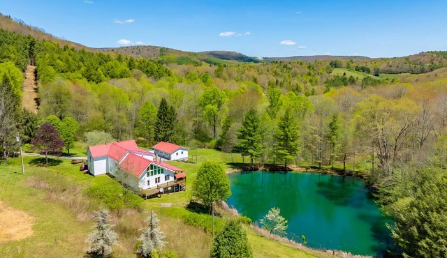 Spacious 5-bedroom house w/fishing pond, WiFi, hot tub in Grayson Co Mountainsn