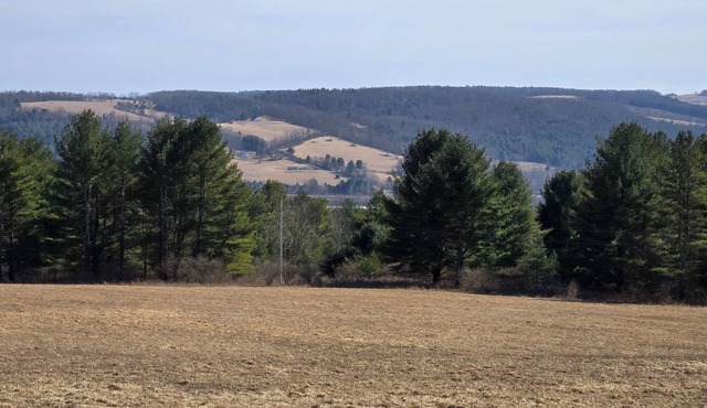 Spacious 5-bedroom Rustic country house in welcoming Nelson PA with WiFi