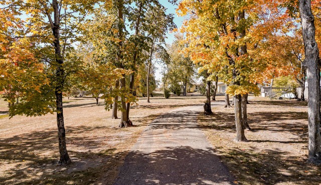 Spacious 5-bedroom house on Deer Lake, with Amazing Sunsets and View of the Lake