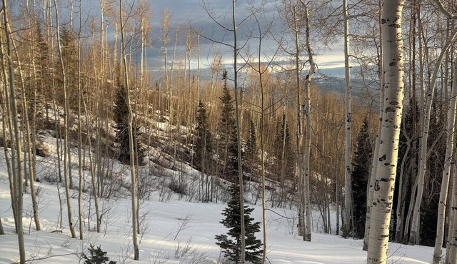 Spacious 6-bedroom ski-in/out estate in The Colony in Park City with gym & pool