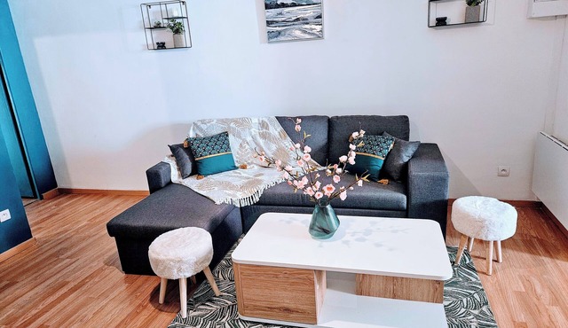 Spacious and charming 47 m2 apartment