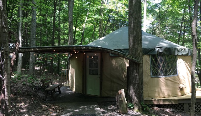 Spacious, airy yurt is delightful for glamping in comfort!