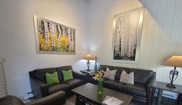 Spacious, Amazing Views, Remodeled Top Floor 2 Bedroom 2 Bath with a Loft