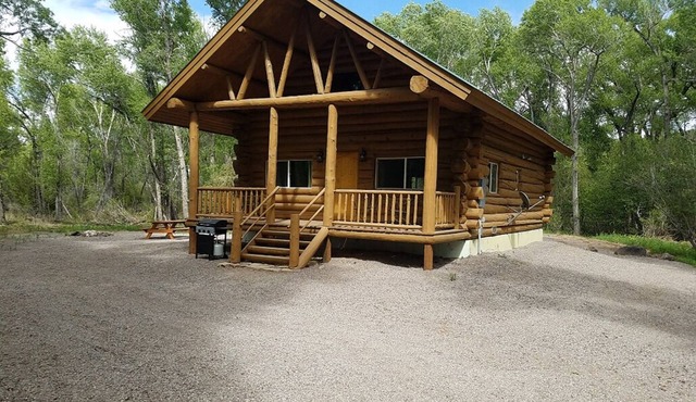 Spacious Amish built Log Cabin in the Woods