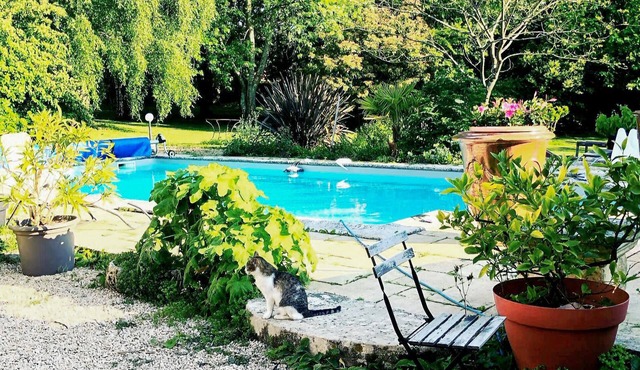 Spacious and authentic stone house with pool and whirlpool in a quiet location.