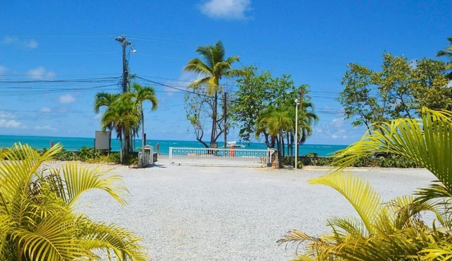 Spacious and Beautiful Beach Condo