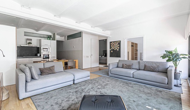 spacious and bright apartment next to Arc del Triomf