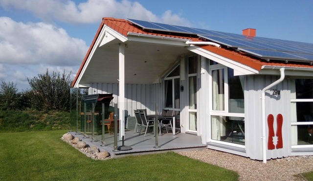 spacious and comfortably furnished holiday home with sauna and fireplace in Wesselburenerkoog