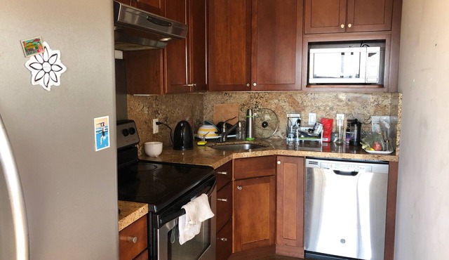 Spacious and Central 2 Bedroom Apartment with Epic Views and Artsy, homey feel!