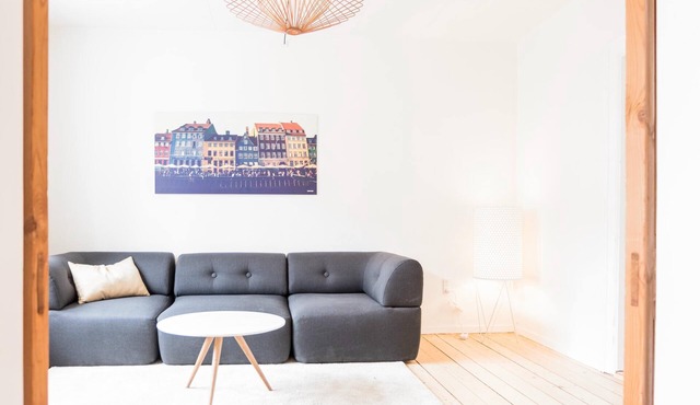 Spacious and cool 1-BR in Øgadekvarteret - 57