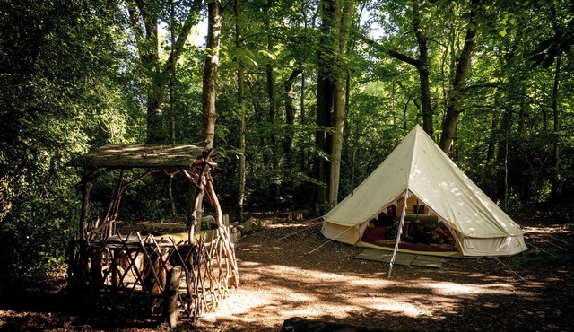 Spacious and cosy 6 meter themed Moroccan Bell Tent in a woodland clearing