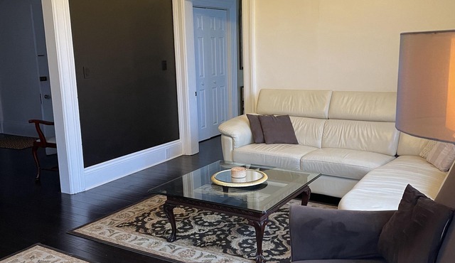 Spacious and elegant apartment, close to downtown