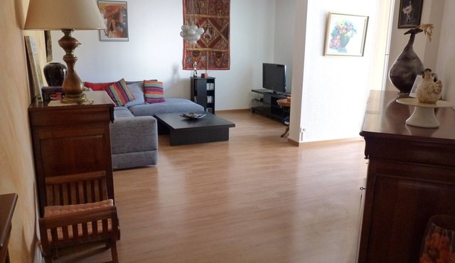 SPACIOUS AND LUMINOUS COMFORTABLE APARTMENT RENTAL NEAR GRENOBLE