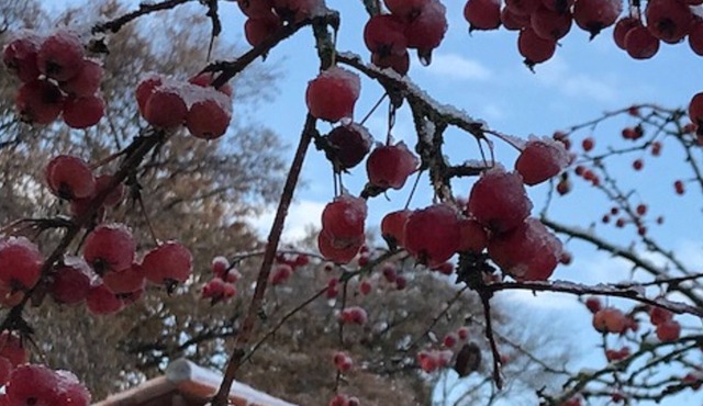 SPACIOUS AND FRIENDLY LODGING IN FRAMEWORK CHAMPETRE