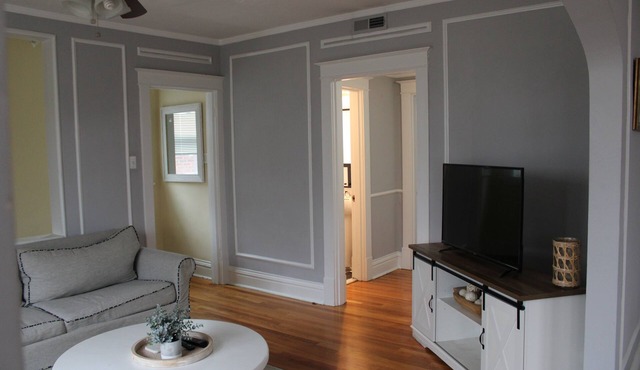 Spacious Aparment in the center of St. Louis.