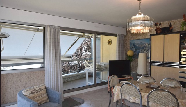 Spacious apartment in Évian, pets allowed