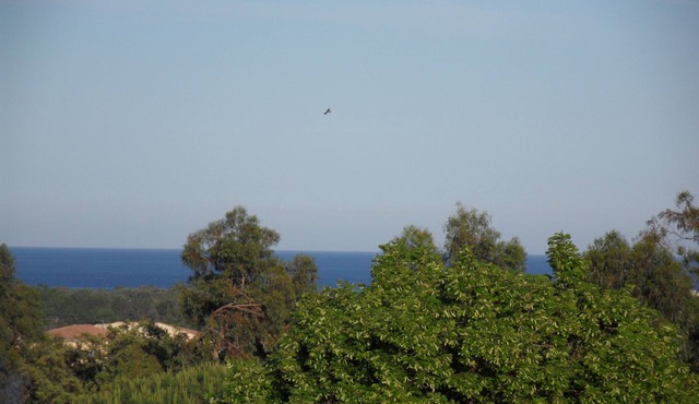 Spacious apartment in lower villa