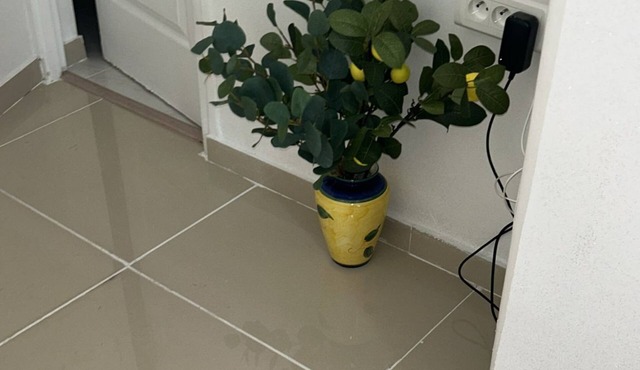 Spacious apartment 2 mn walk from argenteuil train station.