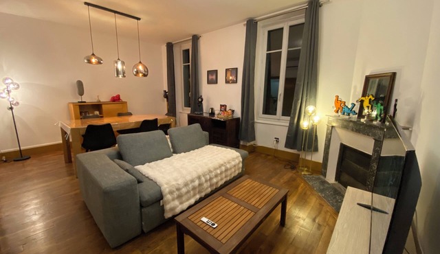 Spacious apartment 200m from the station and the Loire, with private garden