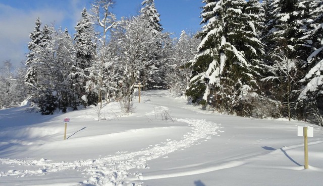 SPACIOUS APARTMENT -COMFORT-COMFORT IN THE HEART OF NATURE