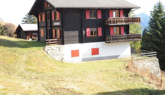 Spacious Apartment in Riederalp near Ski Trail