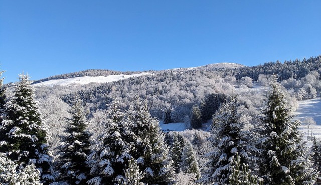 Spacious apartment in the Munster valley with mountain views