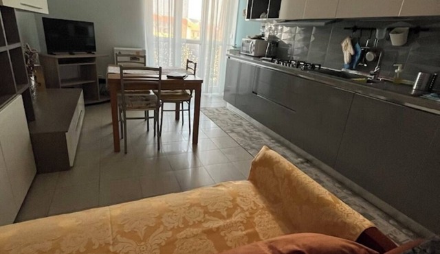 Spacious apartment in Turin Center