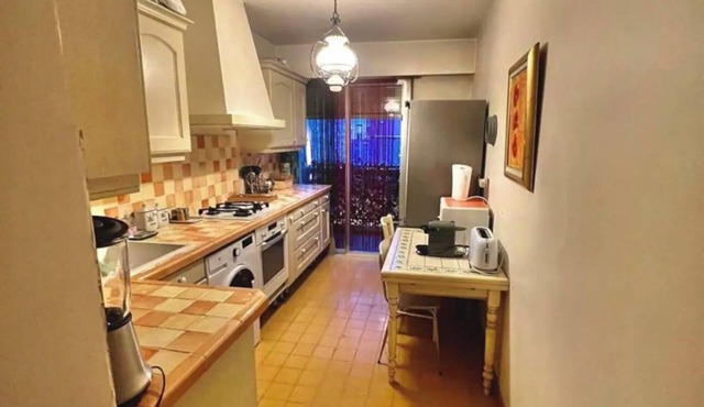 Spacious apartment Nice