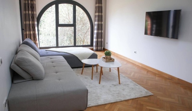 Spacious apartment of 90 m2 in Toulouse