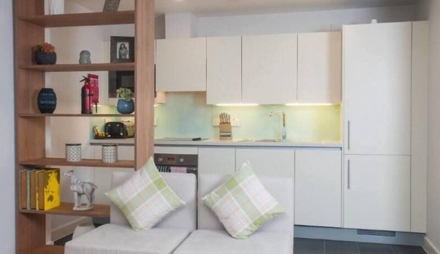 Spacious apartment on two levels