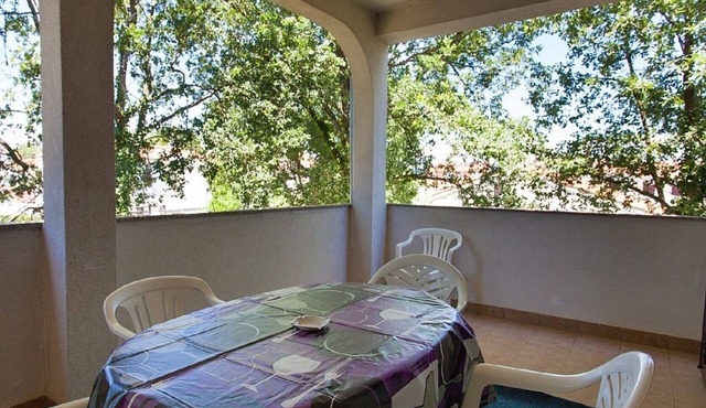 Spacious apartment with terrace and garden