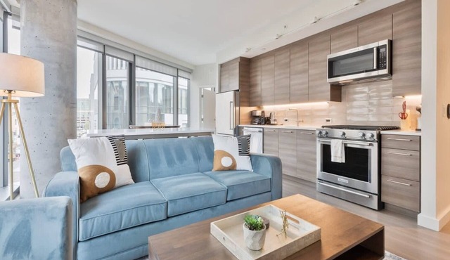 Spacious Apt In Back Bay