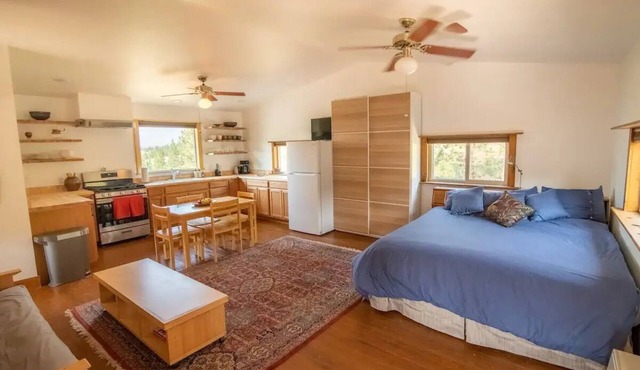 Spacious artist's studio loft apartment with viewnn