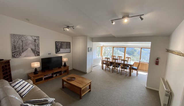 Spacious attractive apartment