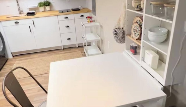 Spacious Basement Studio