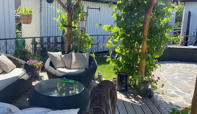 Spacious beautiful house with pool just outside Geneva