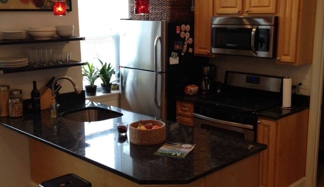 Spacious beautiful one bedrooms condo in East Boston #7 420 friendly