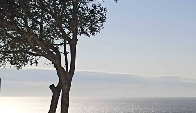 Spacious bedroom studio in gorgeous Veli Lošinj with AC