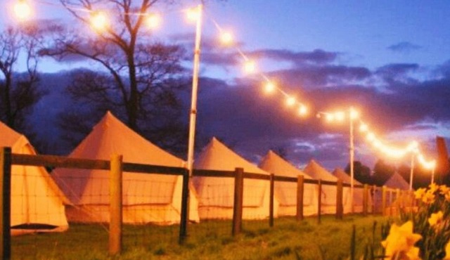 Spacious Bell Tent Nestled in Our Orchard Field at Edinburgh Festival Glamping!