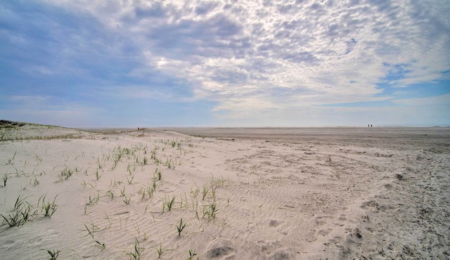 Spacious Brigantine Home ~ 1 Block to Beach!