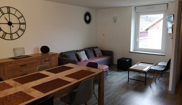 Spacious, bright apartment close to the ski slopes