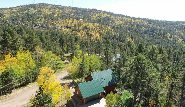 Spacious Cabin Minutes to Terry Peak, Hot Tub, Garage, Game Room for Kids!