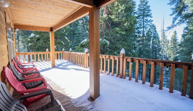 Spacious Cabin near Pinecrest and Dodge Ridge