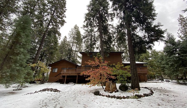 Spacious cabin with AC, private lake, hot tub, movie room