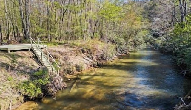 Spacious Cabin with Sauna, Hot & Cold Tubs, Gym Fightingtown Creek in Blue Ridge