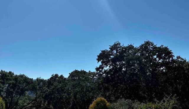 Spacious California Wooded Retreat