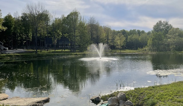 Spacious Cape Style house on 43 acres with pond