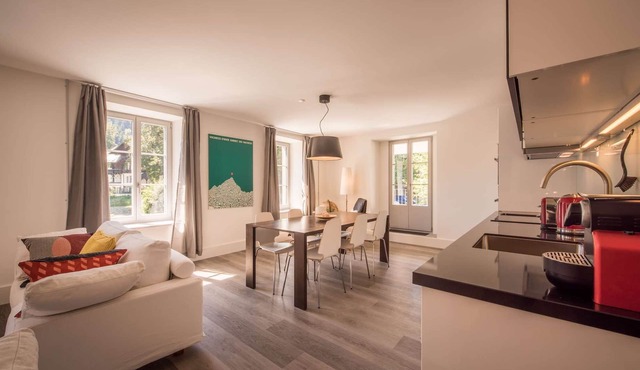 Spacious apartment with terrace lounge and wellness area