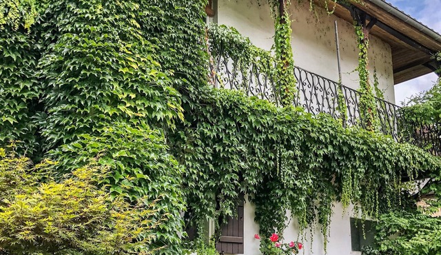 Spacious, charming vacation home with pool in a rural atmosphere.